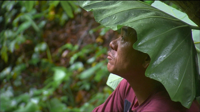 Ocean: The Boat of Orchid Island