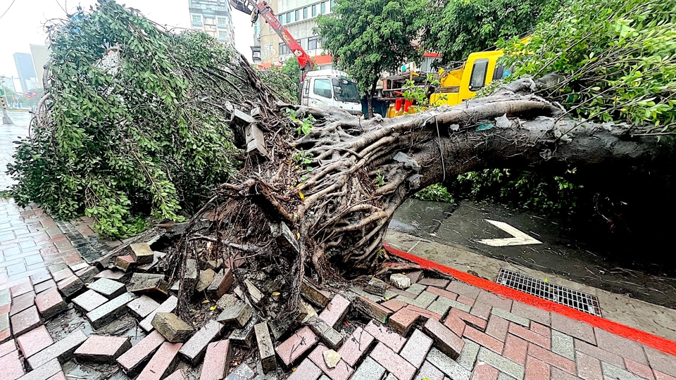 Typhoon Khanun Leaves Debris Scattered Across Taiwan - TaiwanPlus