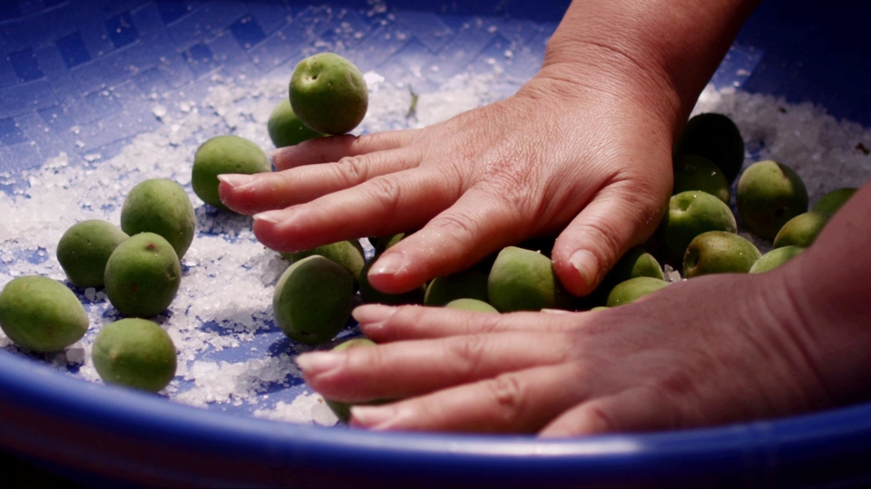 Taiwan's Food Delights - Plum Banquet Ep21 - TaiwanPlus