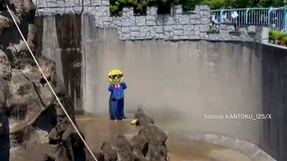 US Nationals Arrested for Stunt at Japan Zoo Monkey Enclosure - TaiwanPlus