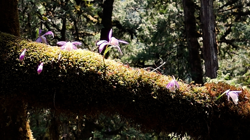 Environment - TaiwanPlus