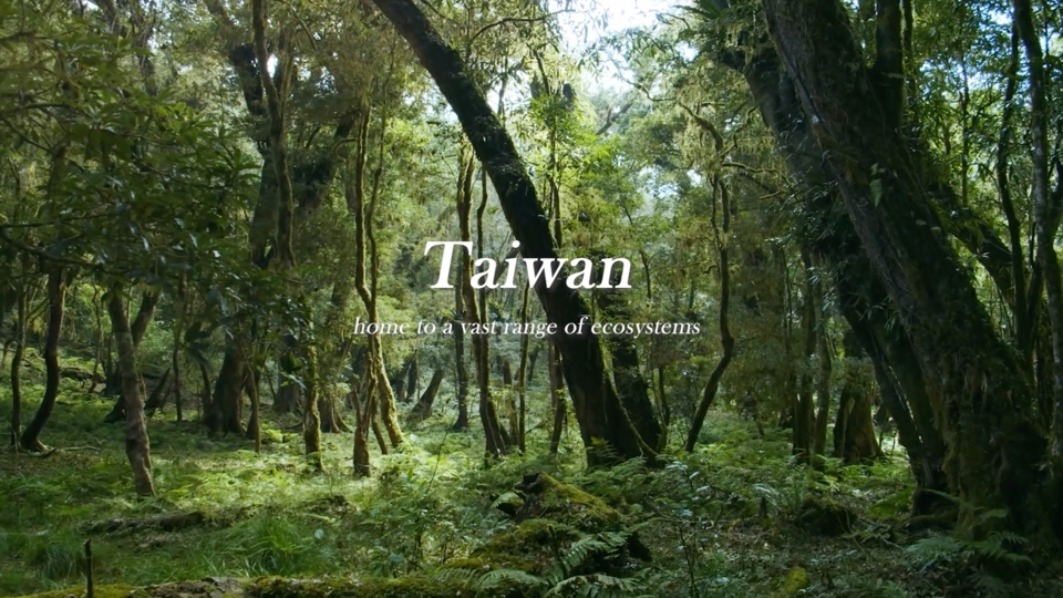Earth Day - Taiwan's Nature Scenery - TaiwanPlus