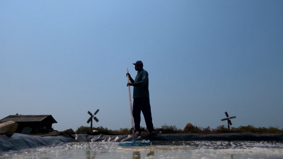 The Indonesian Salt Farmers Who Love El Niño